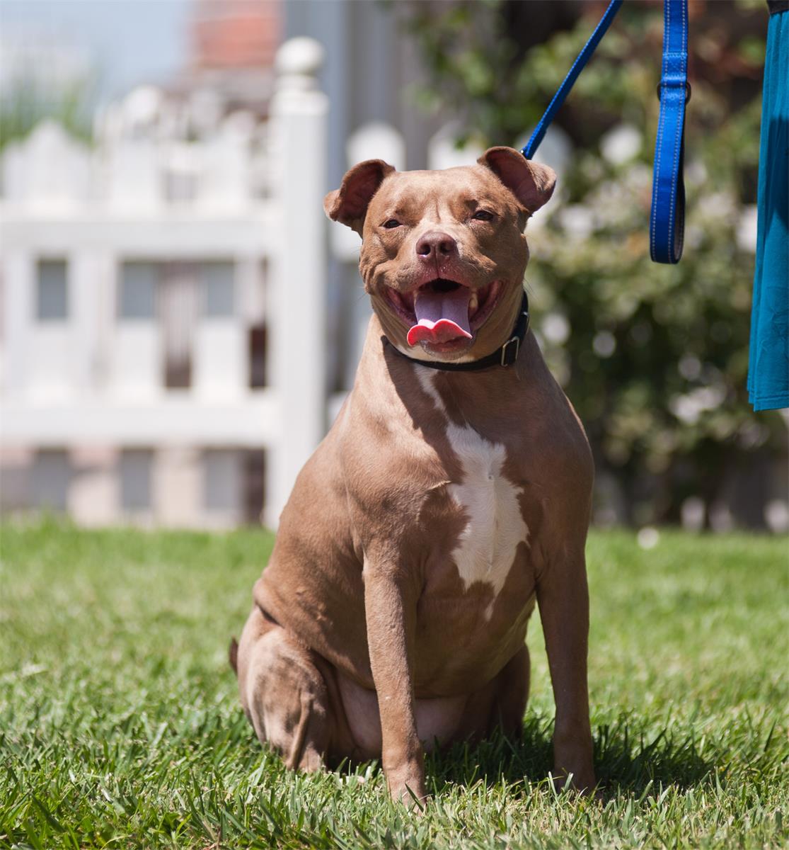 April has been in foster care for 2 years with no adoption applications